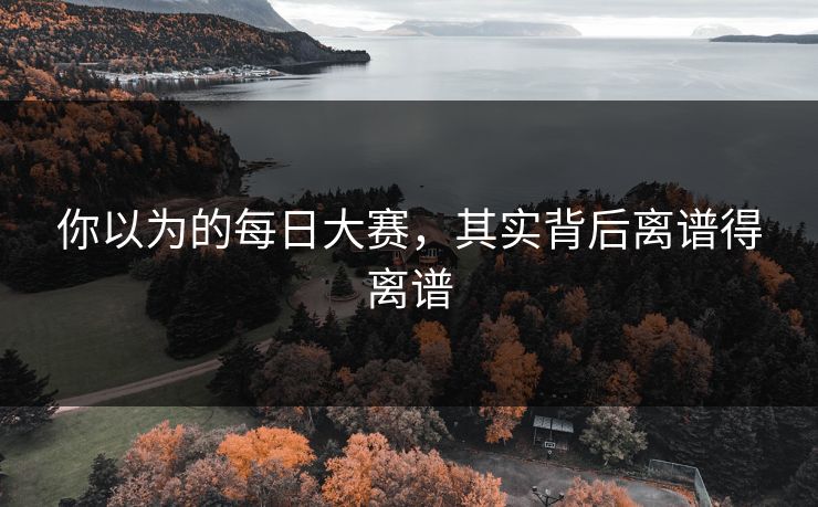 你以为的每日大赛，其实背后离谱得离谱