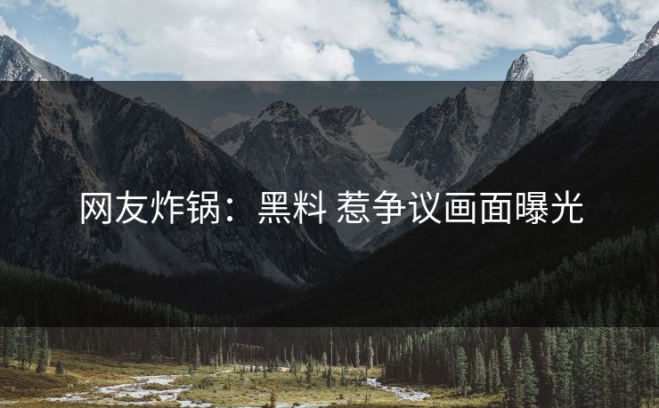 网友炸锅：黑料 惹争议画面曝光
