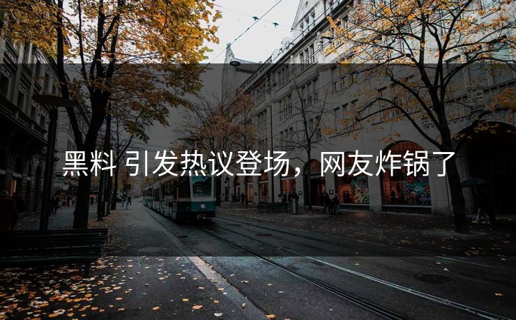 黑料 引发热议登场，网友炸锅了