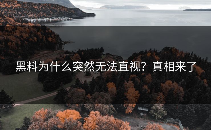 黑料为什么突然无法直视？真相来了