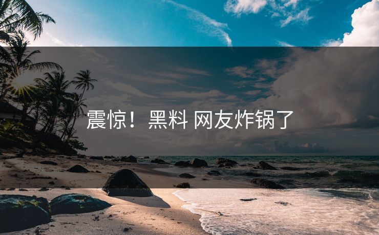 震惊！黑料 网友炸锅了