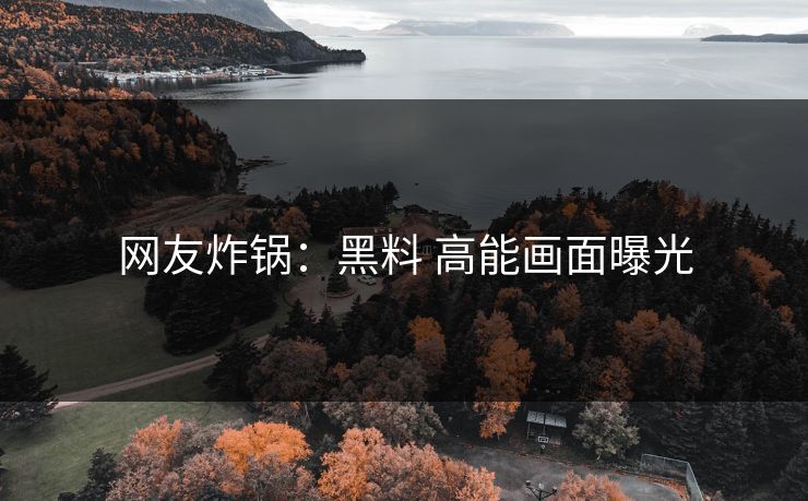 网友炸锅：黑料 高能画面曝光