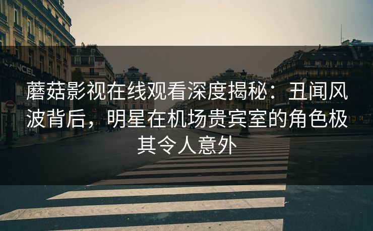 蘑菇影视在线观看深度揭秘：丑闻风波背后，明星在机场贵宾室的角色极其令人意外