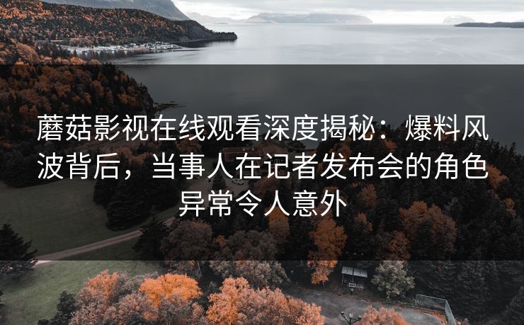 蘑菇影视在线观看深度揭秘：爆料风波背后，当事人在记者发布会的角色异常令人意外