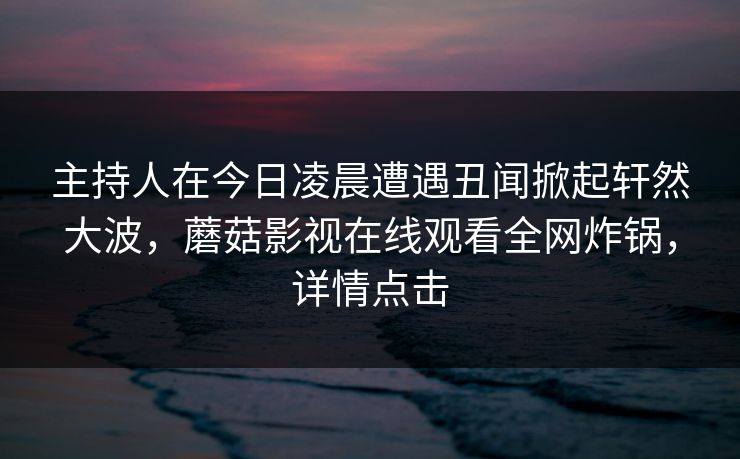 主持人在今日凌晨遭遇丑闻掀起轩然大波，蘑菇影视在线观看全网炸锅，详情点击