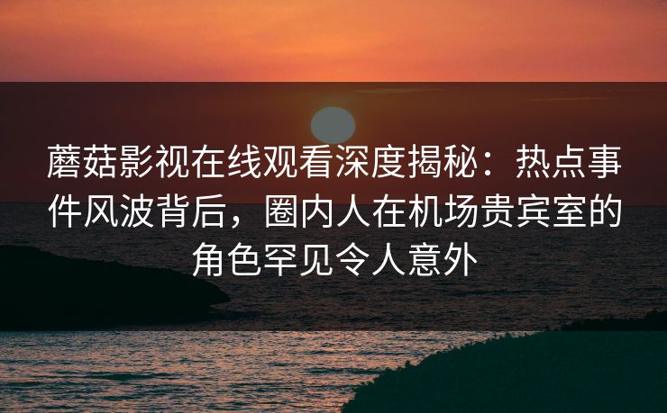 蘑菇影视在线观看深度揭秘：热点事件风波背后，圈内人在机场贵宾室的角色罕见令人意外