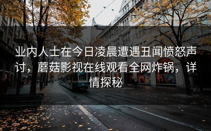 业内人士在今日凌晨遭遇丑闻愤怒声讨，蘑菇影视在线观看全网炸锅，详情探秘