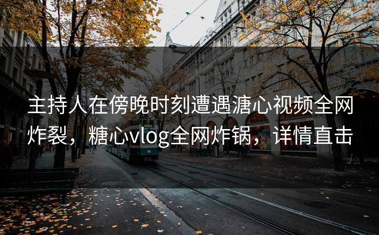 主持人在傍晚时刻遭遇溏心视频全网炸裂，糖心vlog全网炸锅，详情直击