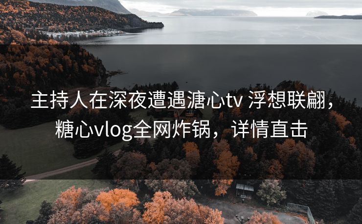 主持人在深夜遭遇溏心tv 浮想联翩，糖心vlog全网炸锅，详情直击